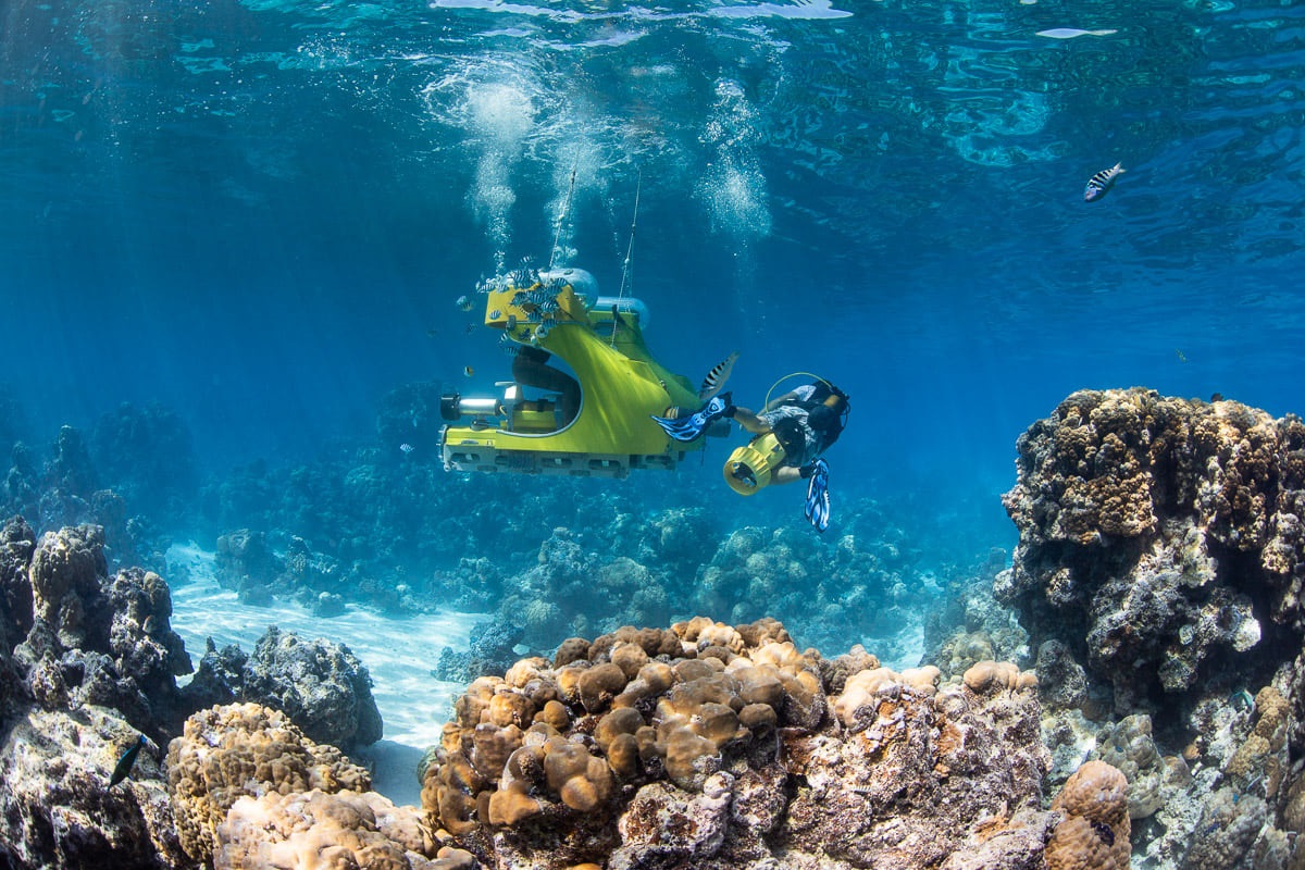 Underwater in Bora Bora - Online Booking!